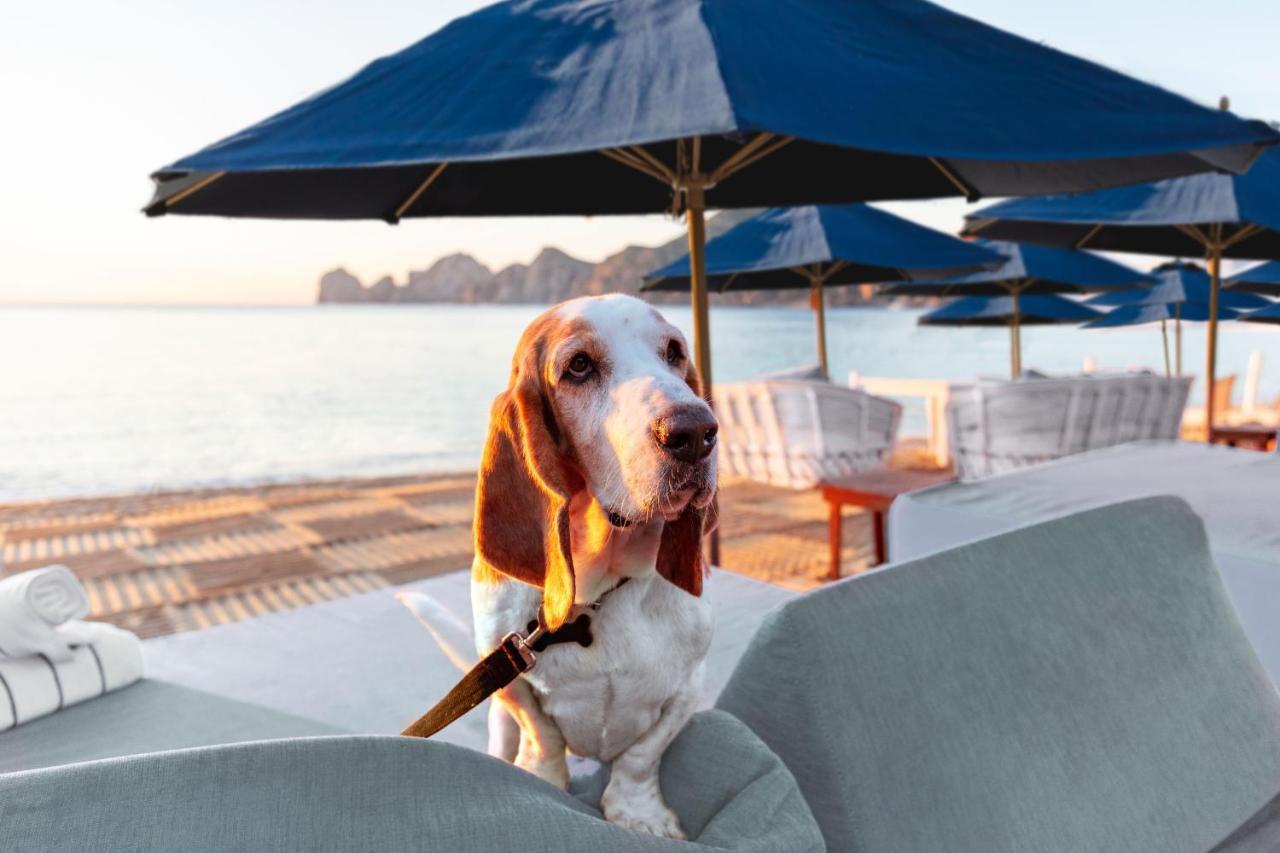 Corazon Cabo, A Noble House Resort Cabo San Lucas Bagian luar foto